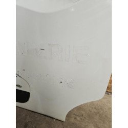 Porte Avant Droit Renault Master 3 Phase 1